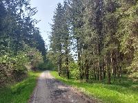 20230427_110140.jpg