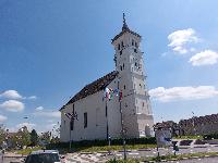 20230427_130519.jpg