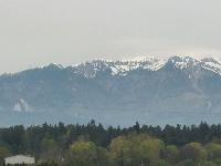 20230428_114245.jpg