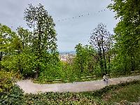 20230428_131037.jpg