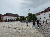 20230428_131216.jpg