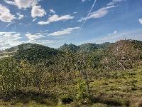 20230430_085638.jpg