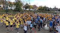 p1310767.jpg