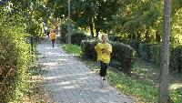 p1310852.jpg