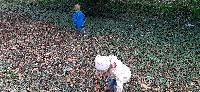 20231009_105145.jpg