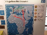 20231120_134525.jpg
