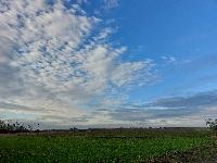 20231120_142842.jpg