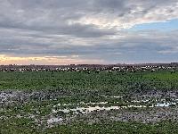 20231120_144109.jpg