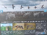 20231120_152943.jpg
