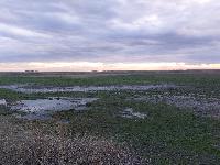 20231120_152959.jpg