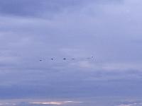 20231120_154918.jpg