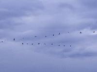 20231120_155012.jpg
