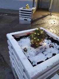 20231207_070749.jpg