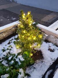 20231207_070800.jpg