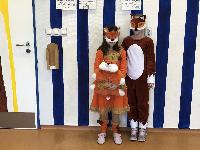 image_50417665.jpg