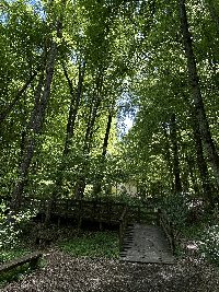 img_3134.jpg