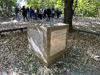 img_3147.jpg