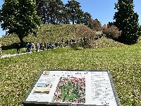 img_3456.jpg
