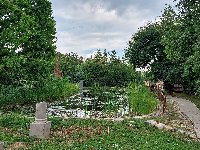 20240607_121918.jpg