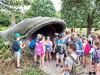 20240607_125413.jpg