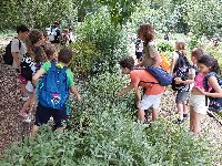20240607_132152.jpg