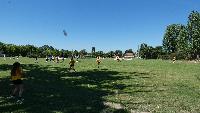p1340717.jpg