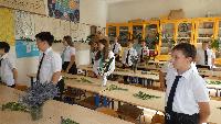p1350381.jpg