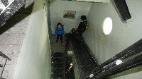 p1460694.jpg