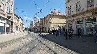 p1460883.jpg