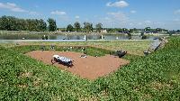 p1460949.jpg