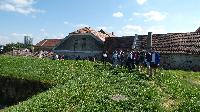 p1460951.jpg