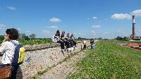 p1460955.jpg