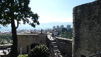 p1470106.jpg