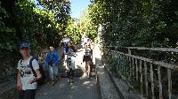 p1470167.jpg