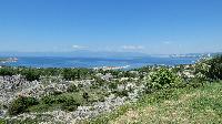 p1470520.jpg