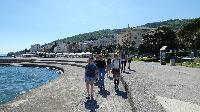 p1470550.jpg