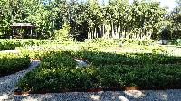 p1470615.jpg