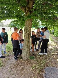 1000039077.jpg