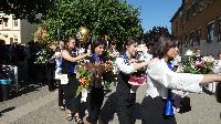 p1490365.jpg