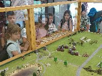 20250617_125510.jpg
