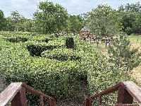 img_5848.jpg