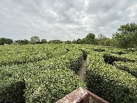 img_5849.jpg
