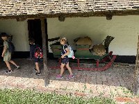 img_5904.jpg