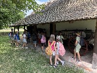 img_5905.jpg