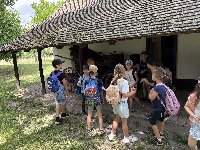 img_5906.jpg