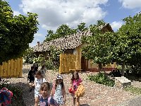 img_5931.jpg