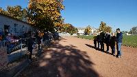 p1520297.jpg