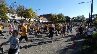 p1520525.jpg
