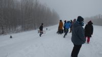 p1540866.jpg