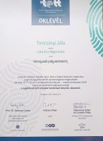 tettoklevl.jpg